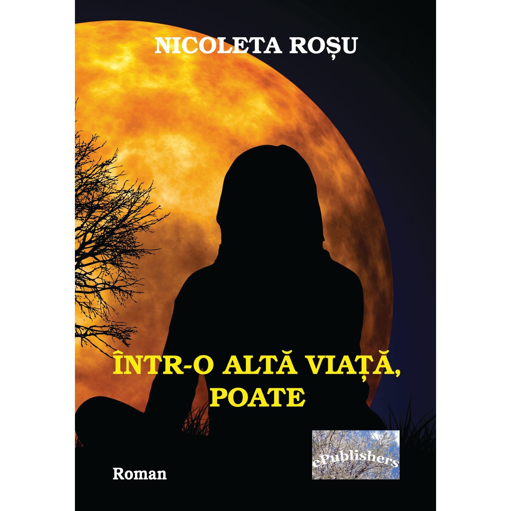 Intr-o alta viata, poate, Roman de Nicoleta Rosu