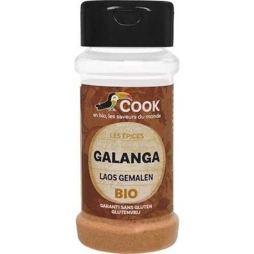 Galangal pudra bio 25g