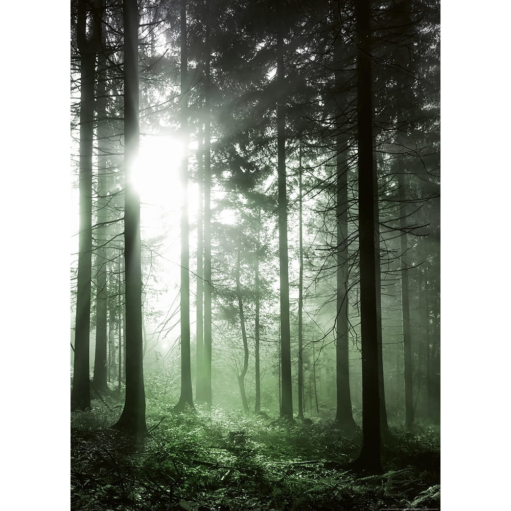 Fototapet peisagistic Wizard Genius 5181-4 dimensiune 192cm (L) x 260cm (I) verde negru