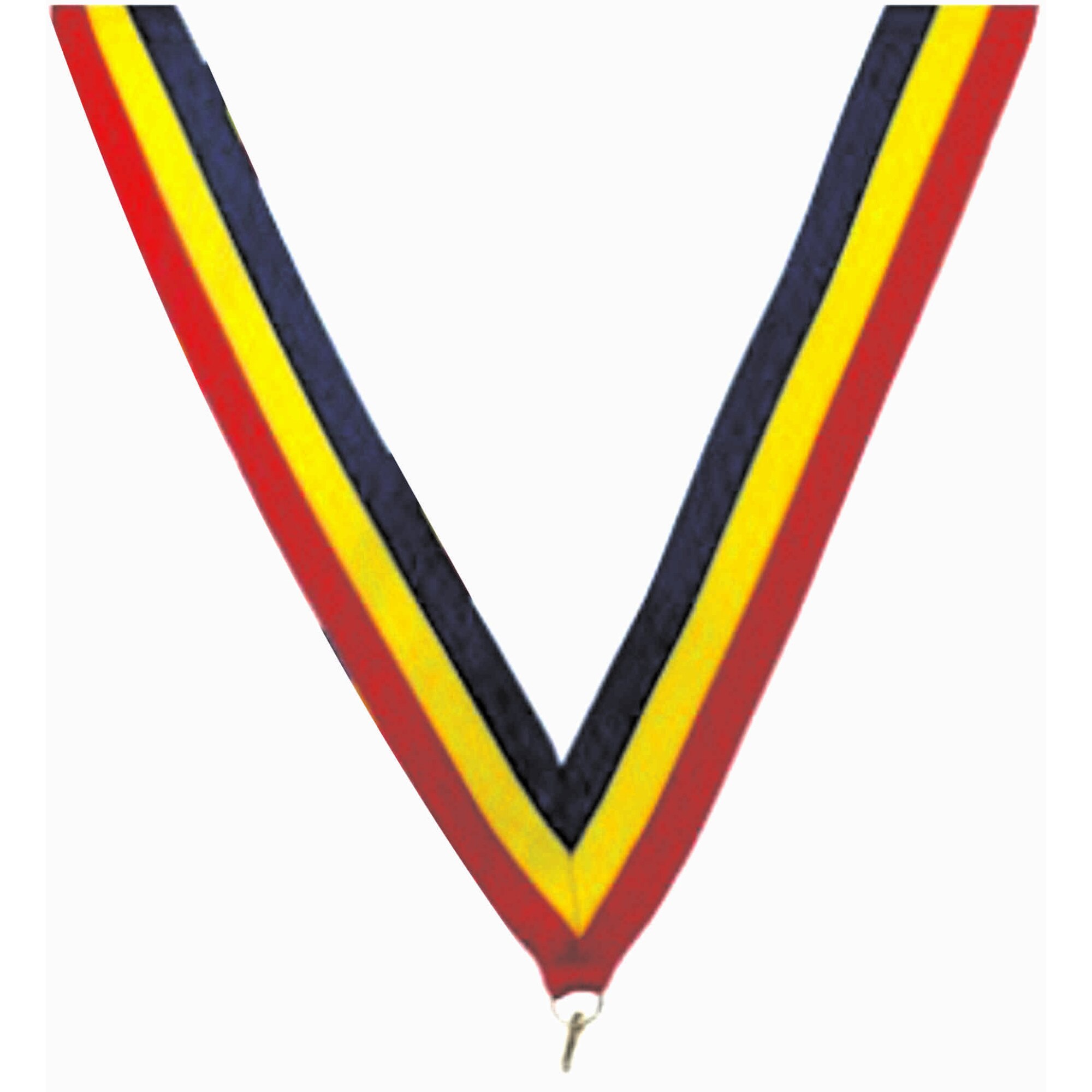 Panglica tricolor Romania 20