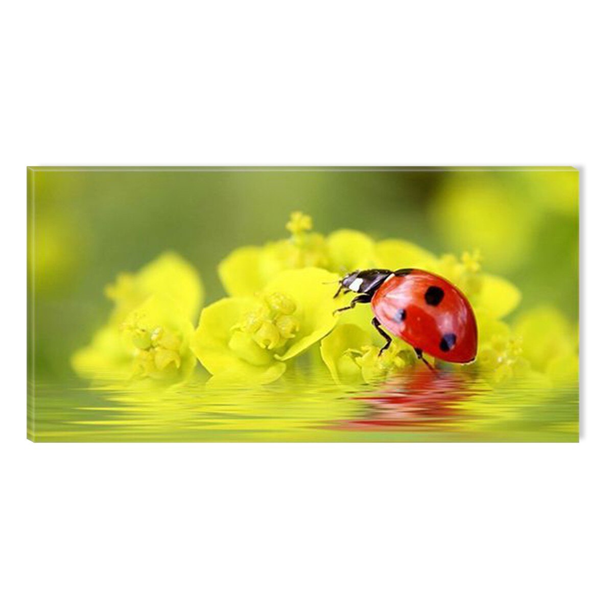 Tablou DualView Startonight Gargarita, luminos in intuneric, 60 x 120 cm