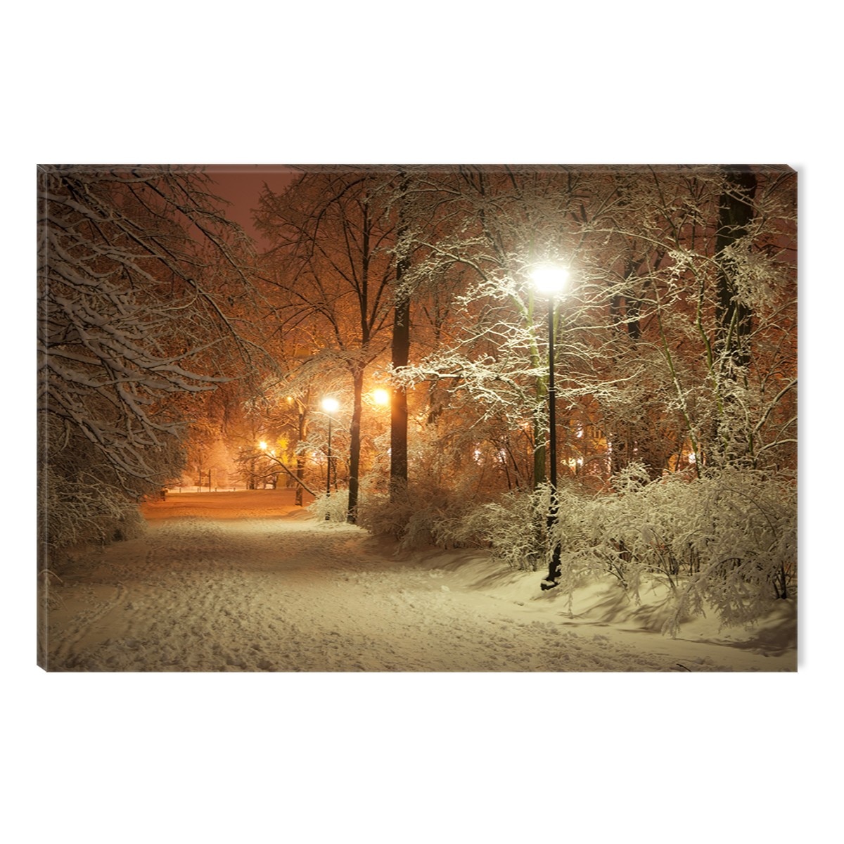 Tablou DualView Startonight Iarna in parc, luminos in intuneric, 80 x 120 cm