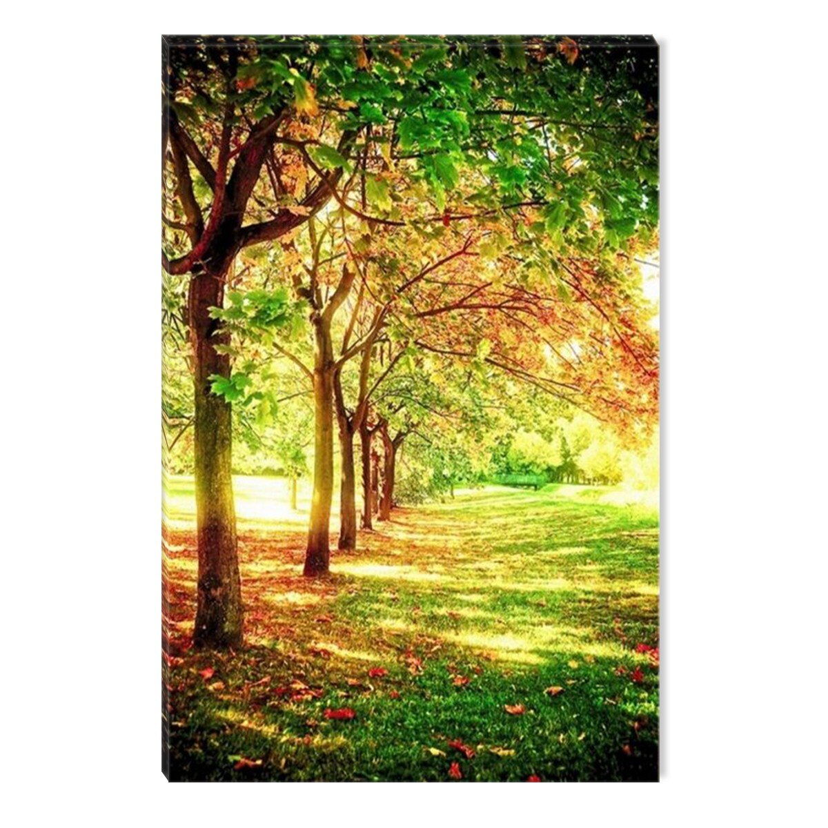 Tablou DualView Startonight Rand de copaci, luminos in intuneric, 80 x 120 cm