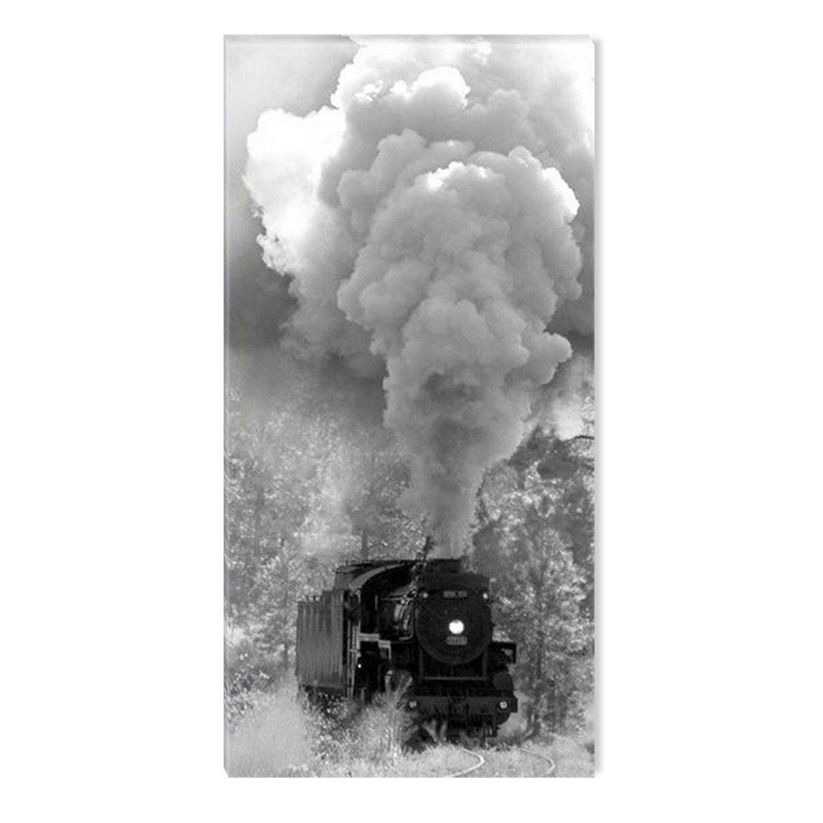 Tablou DualView Startonight Tren cu aburi, luminos in intuneric, 60 x 120 cm