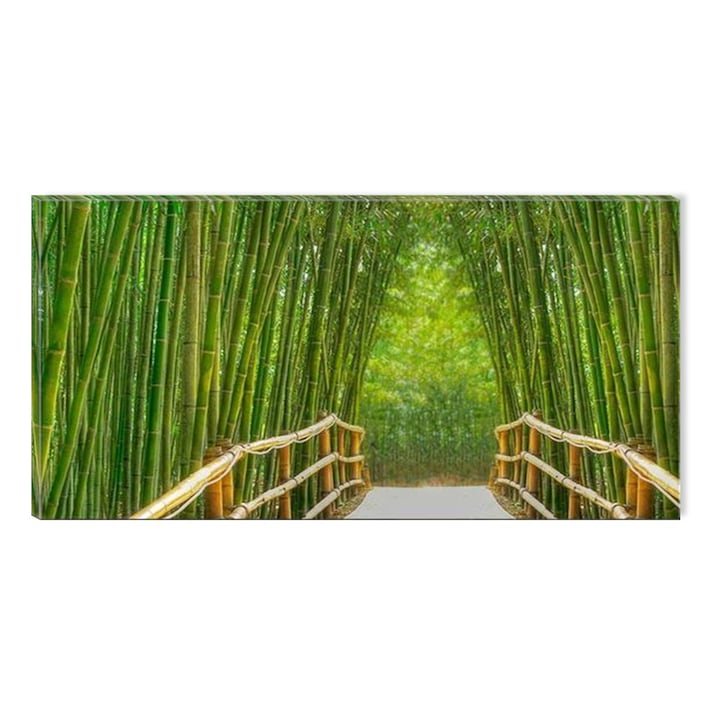 Tablou DualView Startonight Alee cu bambusi, luminos in intuneric, 60 x 120 cm