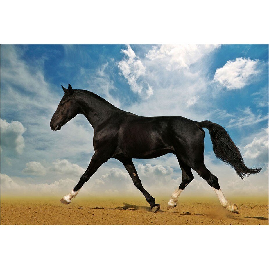 Tablou DualView Startonight Cal arab in desert, luminos in intuneric, 60 x 90 cm