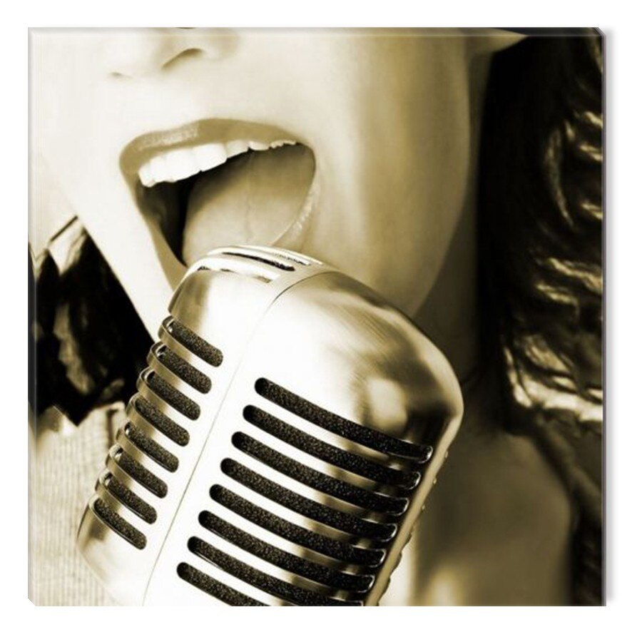 Tablou DualView Startonight Cantareata retro, luminos in intuneric, 80 x 80 cm