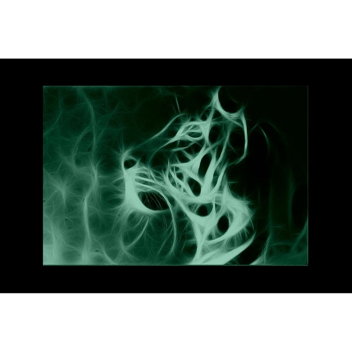 Tablou DualView Startonight Cap de tigru, luminos in intuneric, 60 x 90 cm