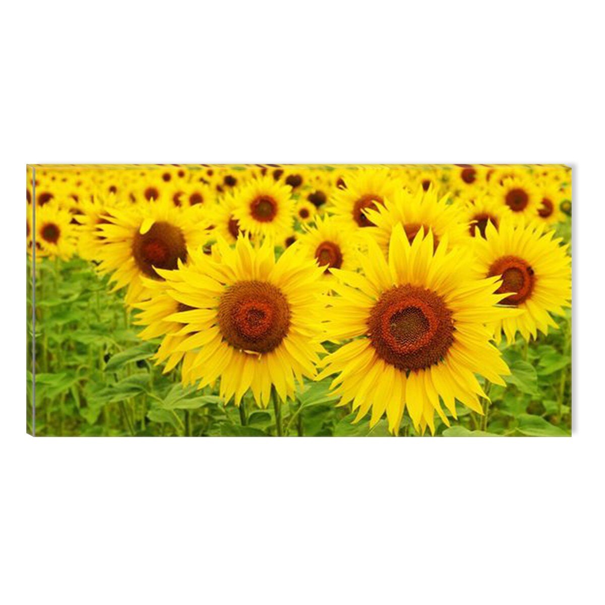 Tablou DualView Startonight E soare!, luminos in intuneric, 60 x 120 cm