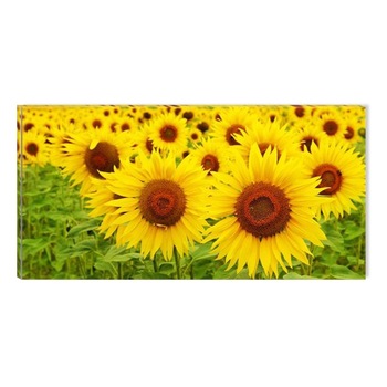 Tablou DualView Startonight E soare!, luminos in intuneric, 60 x 120 cm Tablou DualView Startonight E soare!, luminos in intuneric, 60 x 120 cm