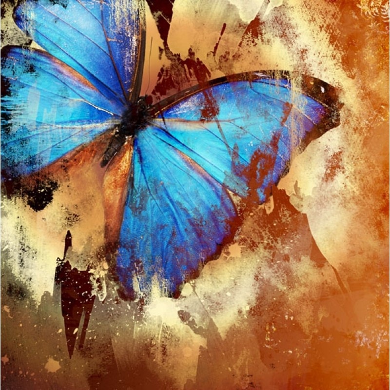 Tablou DualView Startonight Fluture turquoise, luminos in intuneric, 80 x 80 cm