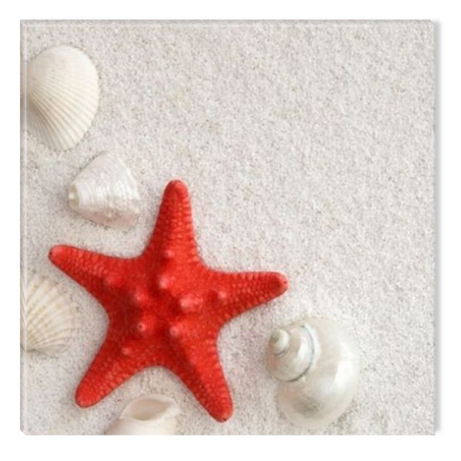 Tablou DualView Startonight Stea de mare rosie, luminos in intuneric, 40 x 40 cm