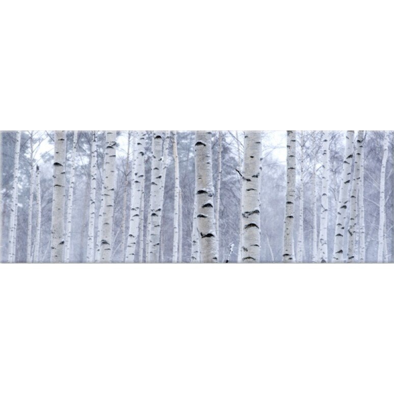 Tablou DualView Startonight Padure de mesteceni, luminos in intuneric, 40 x 120 cm