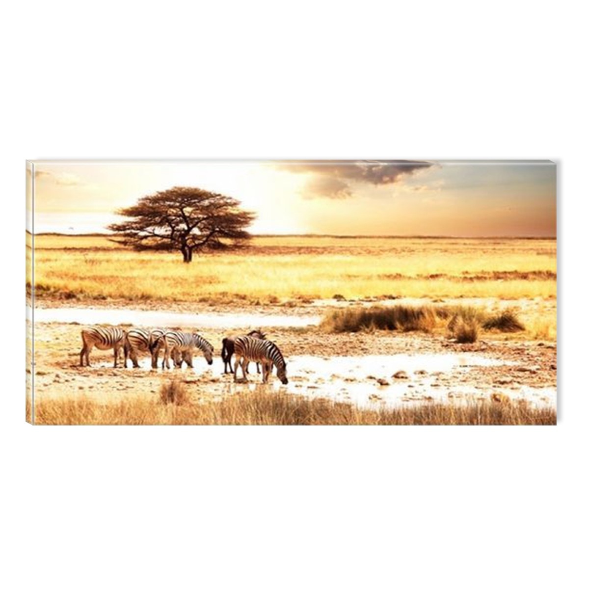 Tablou DualView Startonight Savana africana, luminos in intuneric, 60 x 120 cm