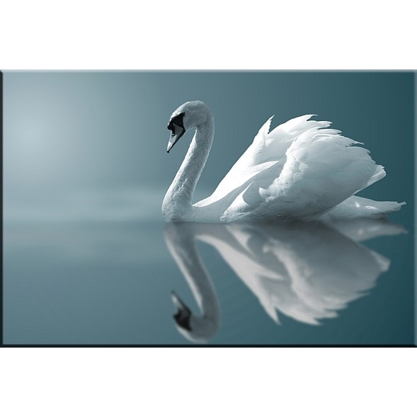 Tablou DualView Startonight Lebada, luminos in intuneric, 40 x 60 cm