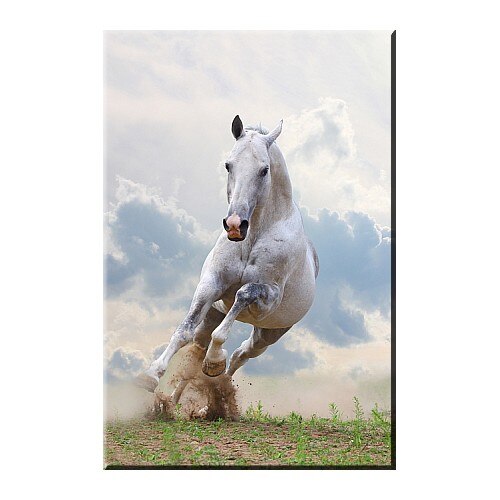 Tablou DualView Startonight Cal si nori, luminos in intuneric, 80 x 120 cm