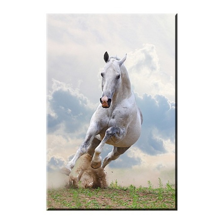 Tablou DualView Startonight Cal si nori, luminos in intuneric, 60 x 90 cm