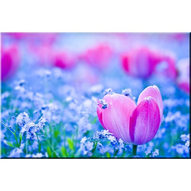 Tablou DualView Startonight Flower power, luminos in intuneric, 80 x 120 cm