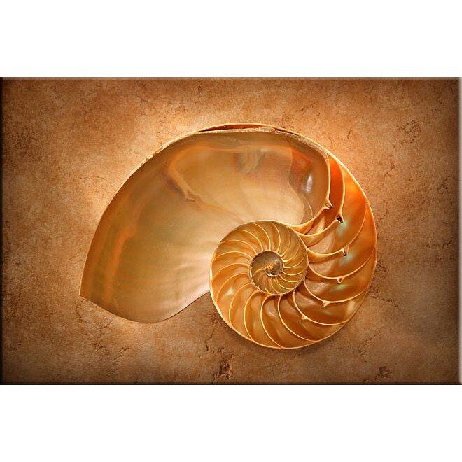 Tablou DualView Startonight Melc sub lupa, luminos in intuneric, 60 x 90 cm