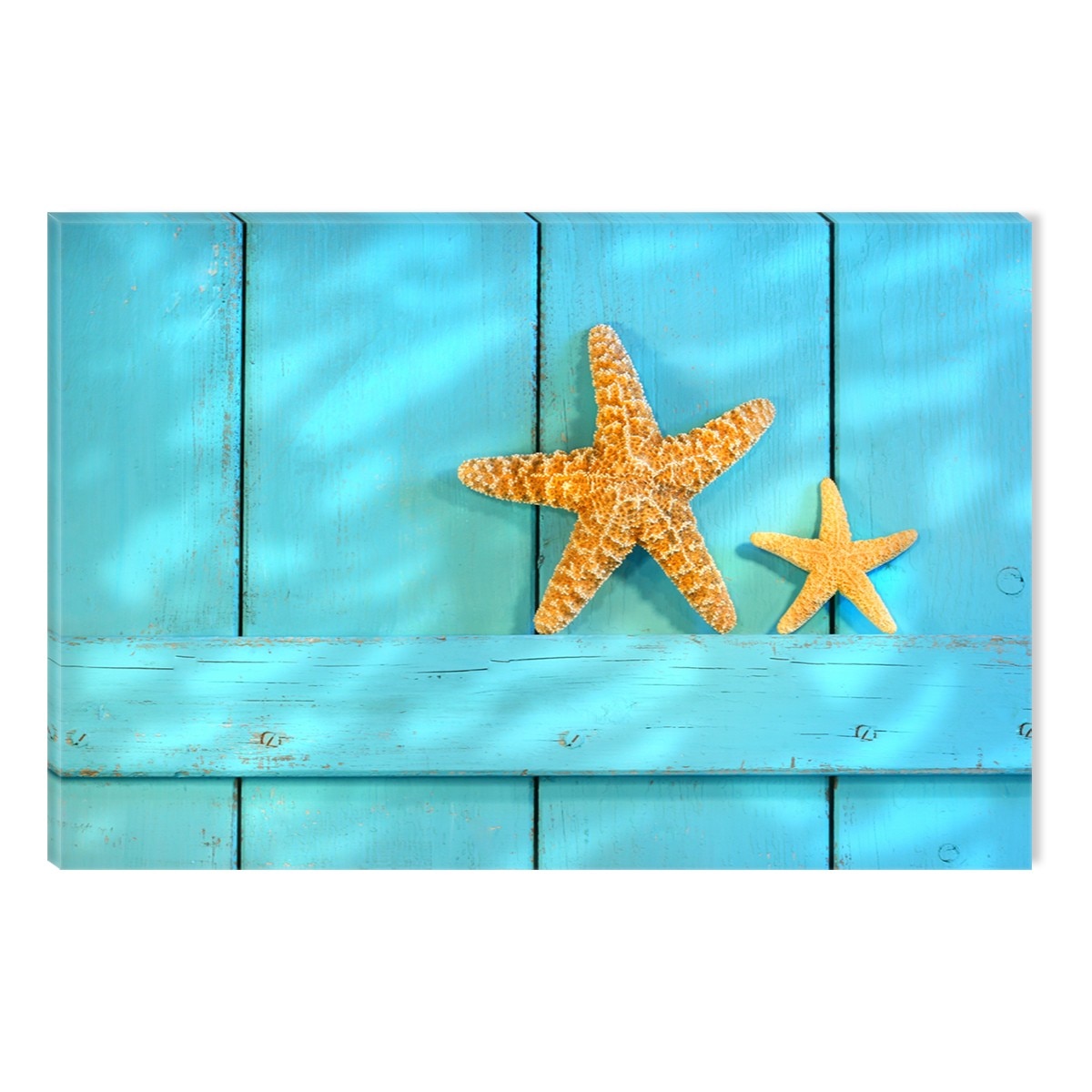 Tablou DualView Startonight Stele de mare pe fundal turqoise, luminos in intuneric, 80 x 120 cm