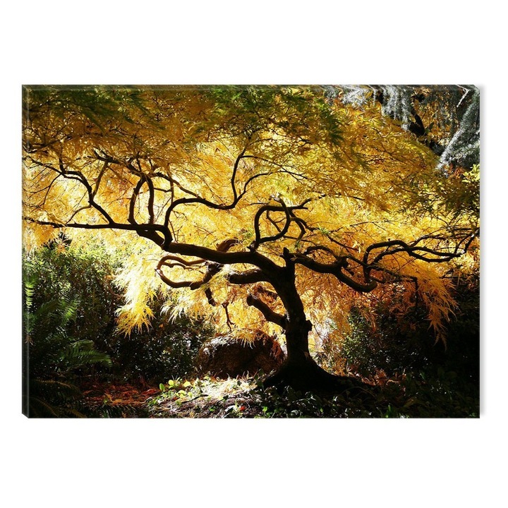 Tablou DualView Startonight Artar canadian, luminos in intuneric, 80 x 120 cm