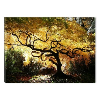 Tablou DualView Startonight Artar canadian, luminos in intuneric, 60 x 90 cm Tablou DualView Startonight Artar canadian, luminos in intuneric, 60 x 90 cm