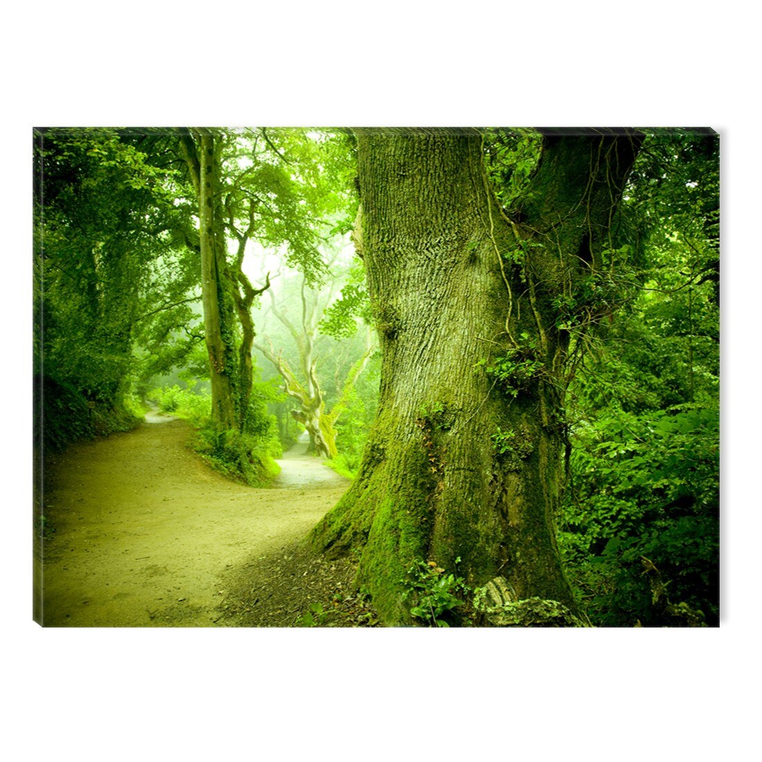 Tablou DualView Startonight Verde crud, luminos in intuneric, 60 x 90 cm