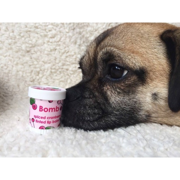 Balsam de buze nuantator Spiced Cranberry Bomb Cosmetics 4.5 g
