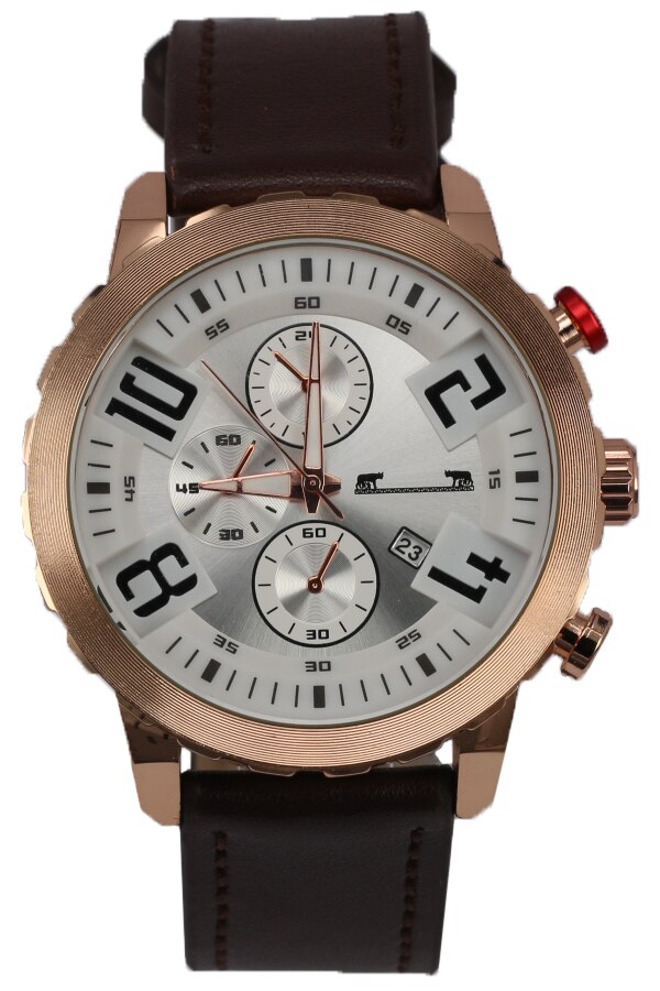 Ceas barbatesc MATTEO FERARI MF8193BB