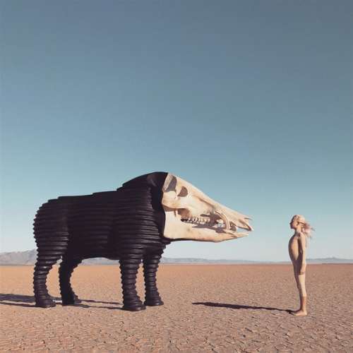 Man Man - Dreaming Hunting In the.. (CD)