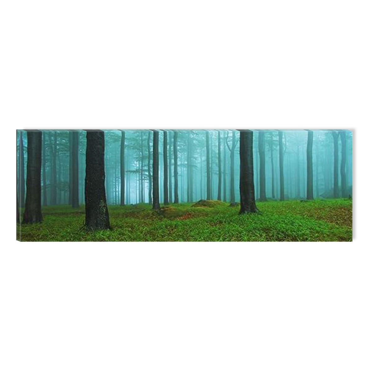 Tablou DualView Startonight Dimineata in padure, luminos in intuneric, 40 x 120 cm