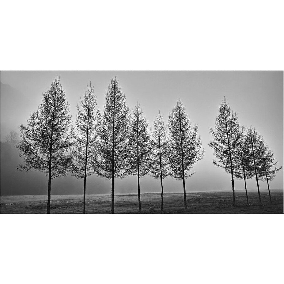 Tablou DualView Startonight Copaci si ceata, luminos in intuneric, 60 x 120 cm