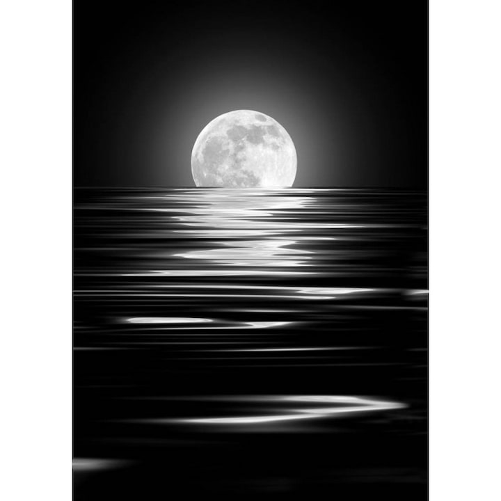 Tablou DualView Startonight Luna, luminos in intuneric, 60 x 90 cm
