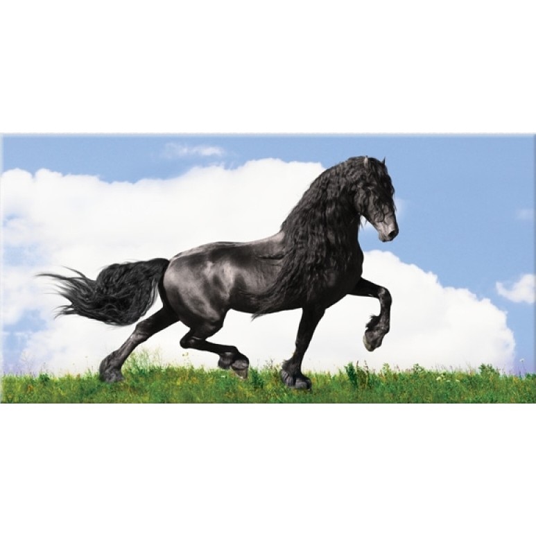 Tablou DualView Startonight Cal negru pe pajiste, luminos in intuneric, 60 x 120 cm