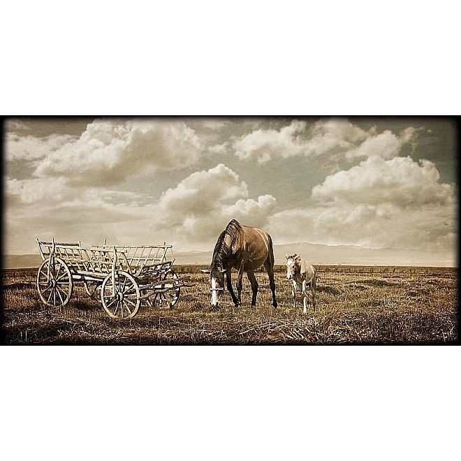 Tablou DualView Startonight Cai pe camp, luminos in intuneric, 20 x 40 cm