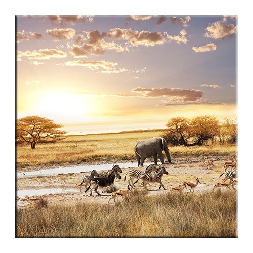 Tablou DualView Startonight Safari, luminos in intuneric, 40 x 40 cm