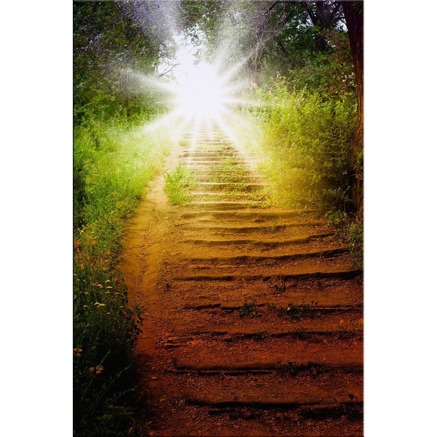 Tablou DualView Startonight Calea spre Rai, luminos in intuneric, 60 x 90 cm