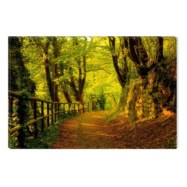 Tablou DualView Startonight Invitatie in padure, luminos in intuneric, 80 x 120 cm