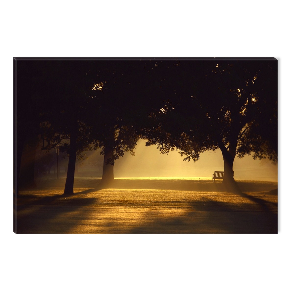 Tablou DualView Startonight Lumina intre copaci, luminos in intuneric, 60 x 90 cm