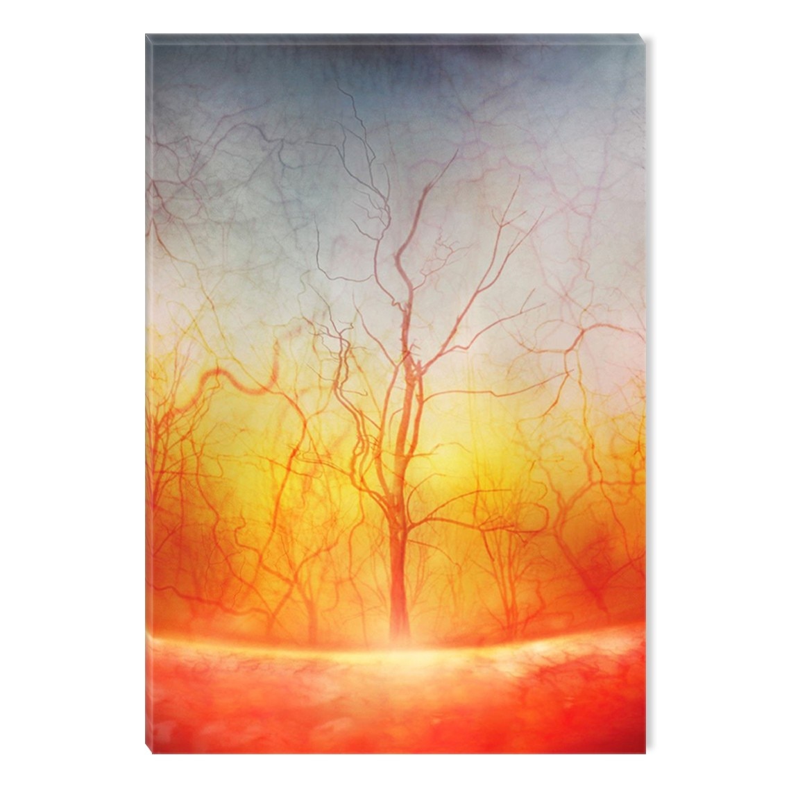 Tablou DualView Startonight Copacii ochiului, luminos in intuneric, 20 x 30 cm