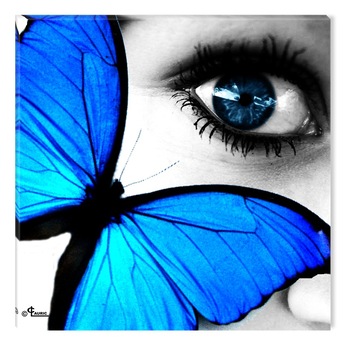 Tablou DualView Startonight Ochiul cu fluture, luminos in intuneric, 30 x 30 cm Tablou DualView Startonight Ochiul cu fluture, luminos in intuneric, 30 x 30 cm