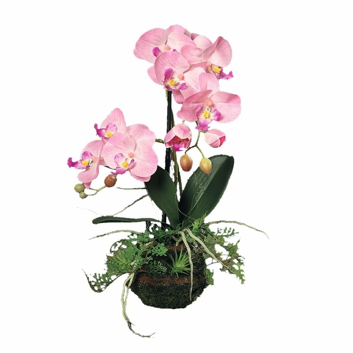 Изкуствена розова орхидея със 100% естествен вид в глинена купа с папрат 45 см