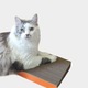 Carton de zgariat pentru pisici HAPPY MEOW Junior, 48x18x4 cm