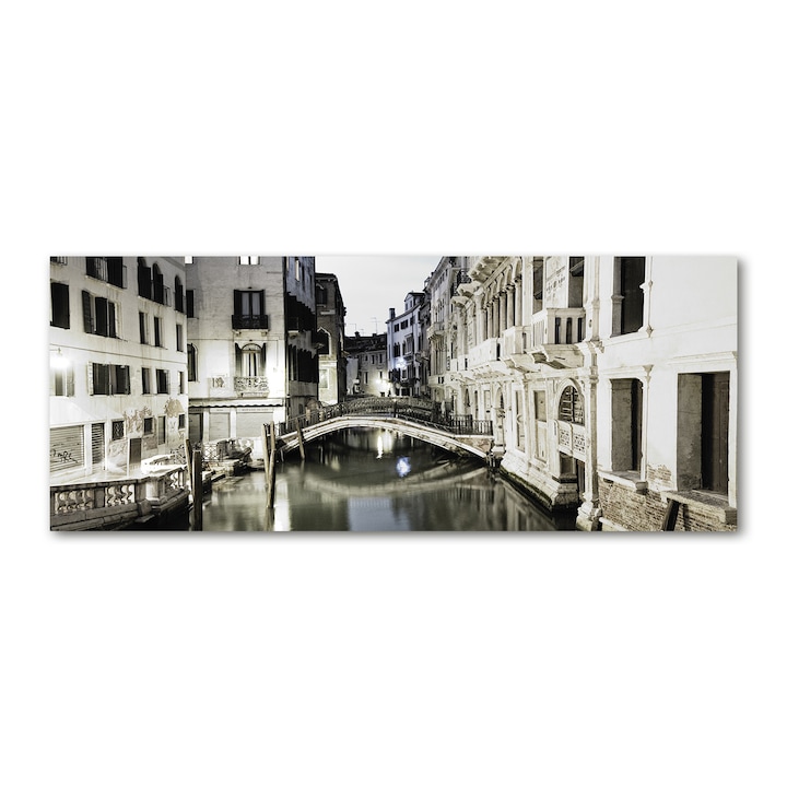 Tulup Fali panel, üveg, 125x50 cm, Velence, Olaszország (tw2-de-pk50-125x50-f-23184443)