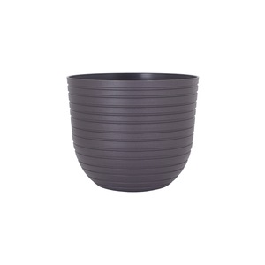 Саксии и цветарници