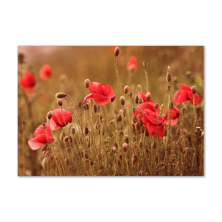 Tablou pe sticla. 100x70cm. Imagine imprimata sticla. Decorarea peretilor "Tripticul Maki”