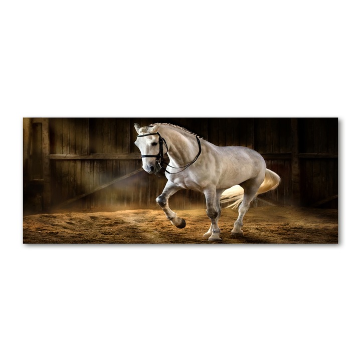 Panou de bucatarie, din sticla, 125x50 cm "Cal alb in grajd”