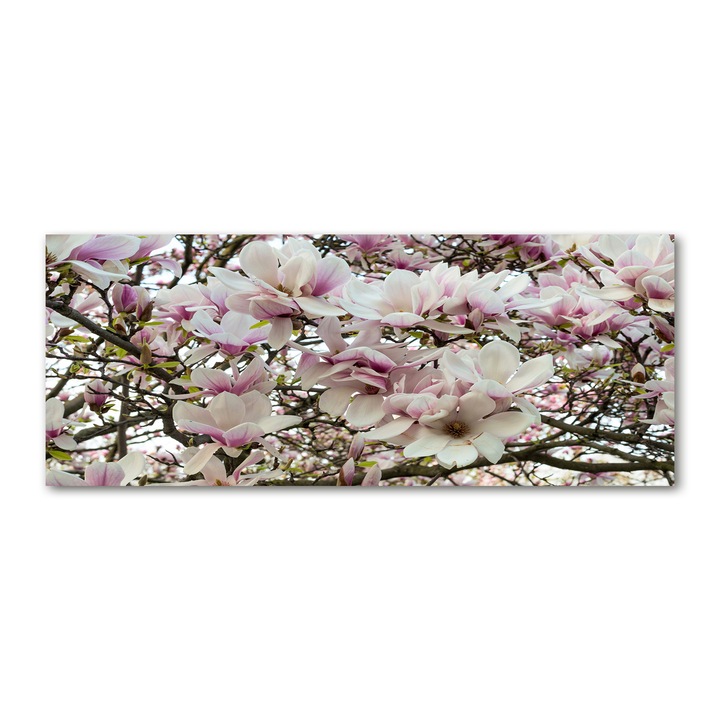 Pictura pe panza, 125 cm x 50 cm, Decorarea peretilor - Flori de magnolie