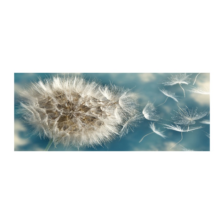 Panou de bucatarie, din sticla, 125x50 cm "papadia”