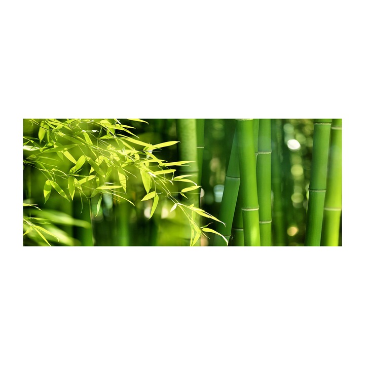 Pictura pe panza, Decorarea peretilor, Bambus, 125x50cm, Cu cadru - 010030010090000001418